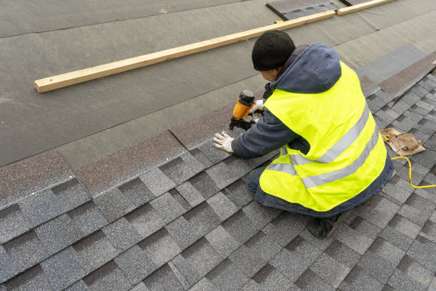 Best Roof Repair Services  in Dassel, MN