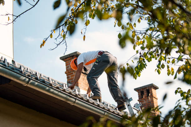 Professional Roofing Contractor in Dassel, MN