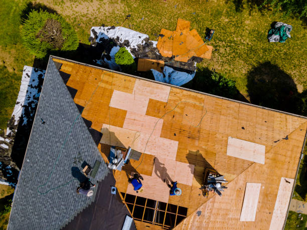 Best Slate Roofing Contractor  in Dassel, MN