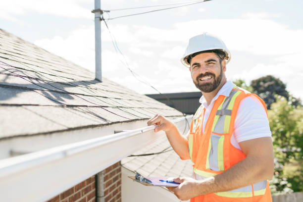 Best Storm Damage Roof Repair  in Dassel, MN