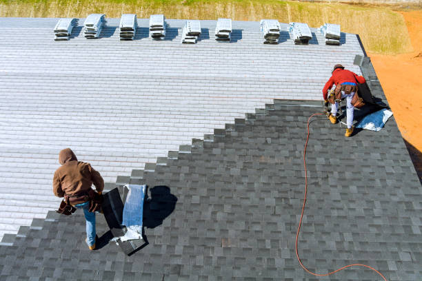 Roof Gutter Cleaning in Dassel, MN