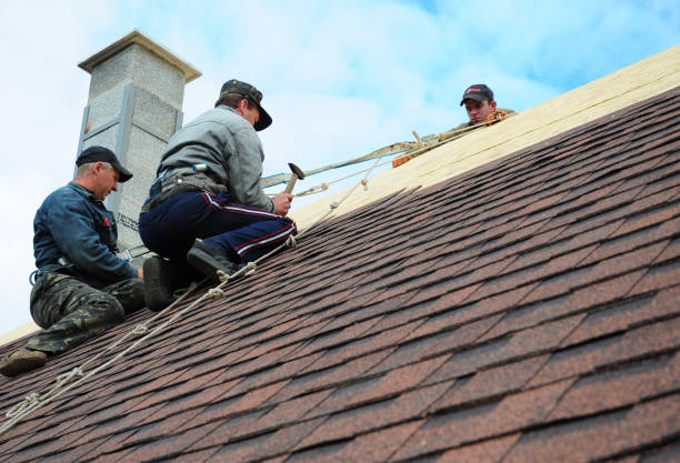 Best Flat Roof Repair Services  in Dassel, MN