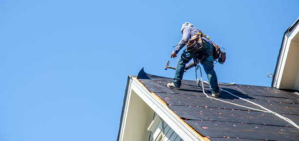 Sealant for Roof in Dassel, MN