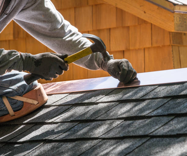 Best Shingle Roofing Installation  in Dassel, MN
